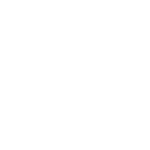 Southern Spices 3